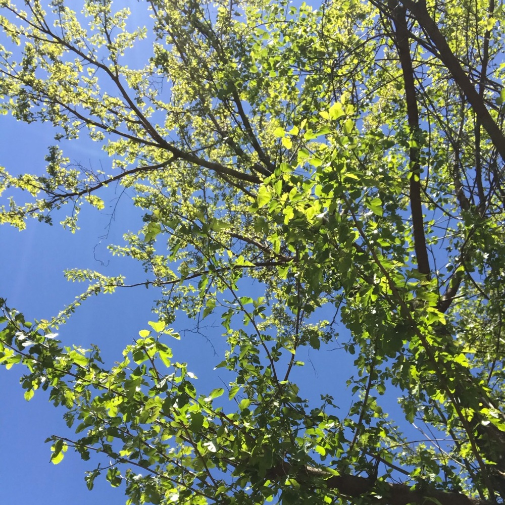 Meet your Posher, Maria clara